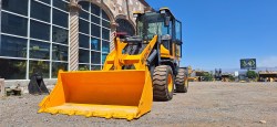 Payloader-Blanche-Tw36-D306-9